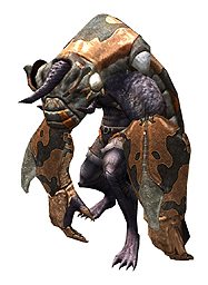 ꡼ No.008Υͥ / C9סǿåץǡȡUPDATE 4Φפ٥륭åפ57ޤǳ4Φ֥ԥפؿǽ