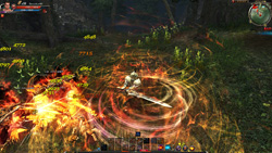 ꡼ No.007 | C9פʬ򿶤󤹡ȥСɤȵʳˤȥ꡼ѡɤ褤UPDATE ȶΡԥץ쥤ݡ