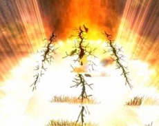 ꡼ No.024Υͥ / C9 (Continent of the Ninth)ס2饹֥ʥȥȡפ쵤˥٥20ˤʤ른ץåץ٥ȤⳫ