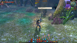 画像集#030のサムネイル/「C9」の最新アップデート「UPDATE二十一」でバラエティに富んだ5つの新マップが登場。第6大陸前半となる「エンドール森林地帯」を先行プレイ