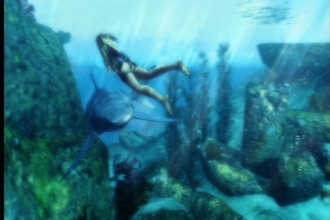 画像集#002のサムネイル/「TOMB RAIDER:UNDERWORLD」のテレビCFが公式サイトで公開