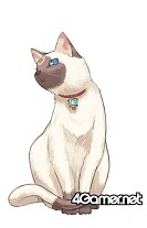 画像集#013のサムネイル/フライト・プランの新作シミュレーションRPG,「SACRED BLAZE」(セイクリッドブレイズ)が2009年2月19日に発売