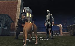 ꡼ No.040 | ˶ҤΥѥĤ򽸤ƳرΥҡȤʤ졪PCǡBullyʥ֥꡼ˡפΥӥ塼Ǻ