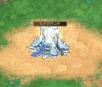 ꡼ No.008Υͥ / ֥󥸥ﵭסĤ絬PvPƥġֹƥפо