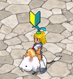 ���������꡼ No.005�Υ���ͥ������ / �֥��󥸥����ﵭ�׿�����������Ϥ��ȥ����ƥॻ�åȤ���館��