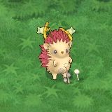 ꡼ No.015Υͥ / ƥĤPvPȶϥץ쥤ڤ֥󥸥ﵭ緿åץǡ4ơ֥ꥢԥݡ