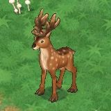 ꡼ No.016Υͥ / ƥĤPvPȶϥץ쥤ڤ֥󥸥ﵭ緿åץǡ4ơ֥ꥢԥݡ