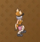 ���������꡼ No.008�Υ���ͥ������ / �֥��󥸥����ﵭ���緿���åץǡ�����5�ơȥ�ߥ��˴���12����˼�������