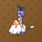 ꡼ No.017Υͥ / ֥󥸥ﵭס緿åץǡ5ơ֥ߥ˴פꥢڤǤ֥õڡפ