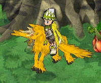 ꡼ No.012Υͥ / ֥󥸥ﵭס֥ϥѡƥ2017ץ٥Ȥ򳫺