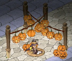 ꡼ No.005 | ֥󥸥ﵭסϥ󥤥٥Ȥ򳫺