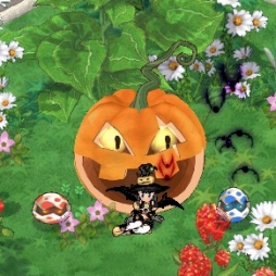 ꡼ No.011 | ֥󥸥ﵭסϥѡƥ2018šϥBOXо