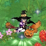 ꡼ No.012 | ֥󥸥ﵭסϥѡƥ2018šϥBOXо