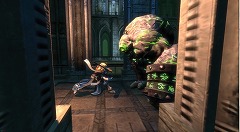 ꡼ No.008 | G200823ԲĻ׵ĤǤʤDanal EntertainmentΥRPGWild Hearts