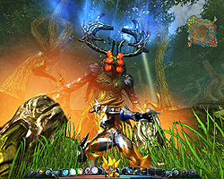 ꡼ No.020 | G2009ܥӥꡪ¿̤ʥ餬ߤϥ֥åɥ饤󥲡LOCOפȤ