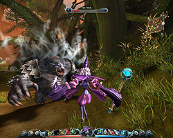 ꡼ No.024 | G2009ܥӥꡪ¿̤ʥ餬ߤϥ֥åɥ饤󥲡LOCOפȤ