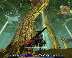 ꡼ No.033 | G2009ܥӥꡪ¿̤ʥ餬ߤϥ֥åɥ饤󥲡LOCOפȤ