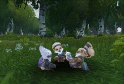 ꡼ No.013Υͥ / 4GamerɼȤ1000̾ʬMMORPGALLODS ONLINEפΥɦ¥ƥ罸