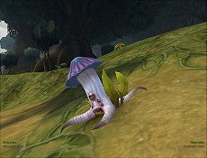 ꡼ No.011Υͥ / ALLODS ONLINEפΥץ󥵡ӥ1800˥ȡ꡼ȥѥƸ뿷ޥåס֥ۡ꡼ɡפξ