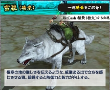 ꡼ No.016Υͥ / ֻ񷲱ONLINE2ӥ9231500˳ϡץ¥ƥȤ³ܺͷֿͤˤŵƥब£