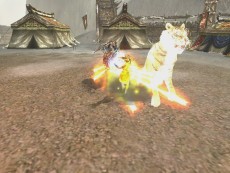 ꡼ No.008 | ֻ񷲱ONLINE2סȡַΡפо줹緿åץǡȡַȴ׸ĥפ213˼