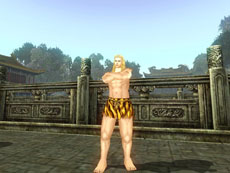 ꡼ No.002Υͥ / ֻ񷲱ONLINE2ס¤ΰ夲俷ʿȤμʤɤޤ緿åץǡȡפ»