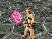 画像ギャラリー No.011のサムネイル画像 / 「三国群英伝ONLINE2」，飲み比べで勝負ができる花見イベントがスタート