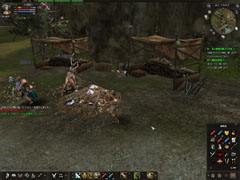 ꡼ No.006 | ȲƻMMORPGɤäƤʤKAROS ONLINEפץ쥤ɤäפΤƤߤ