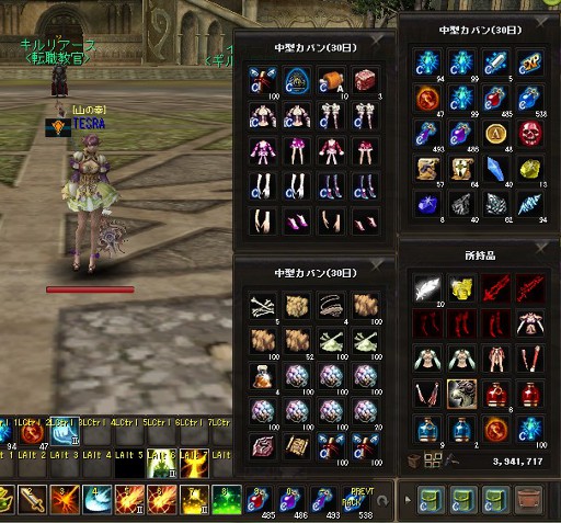 ꡼ No.004 | KAROS ONLINEסƥġ祫Хפγפ