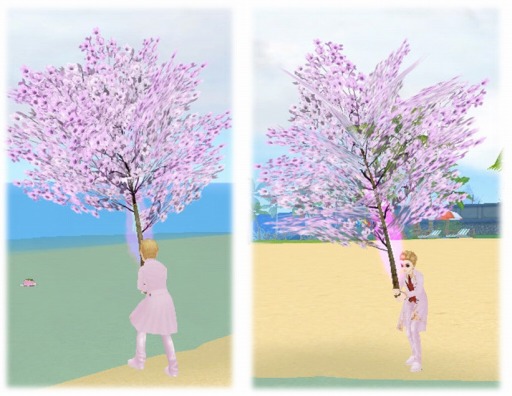 画像ギャラリー No.002のサムネイル画像 / 「MILU」アップデートを実施。「2015☆桜満開イベント〜1週目」がスタート