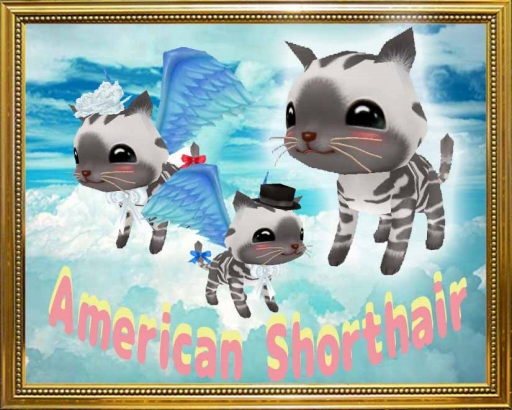 ���������꡼ No.003�Υ���ͥ������ / ��MILU�ץ֥饤���륤�٥�ȳ��š������ǥ��󥰥ɥ쥹�ʤɤ��о�