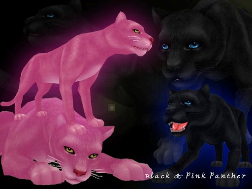 ���������꡼ No.007�Υ���ͥ������ / ��MILU�ס��ʥ��ȥ��롼�����٥��2���ܤ��������ȡ���ڥ��롼���������󥹲���