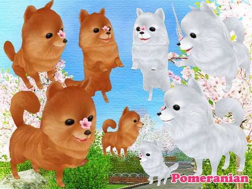 ꡼ No.003Υͥ / MILUפǡ2017٥ȡɤ1ܤ롣꡼ݥ˥ʤɤо