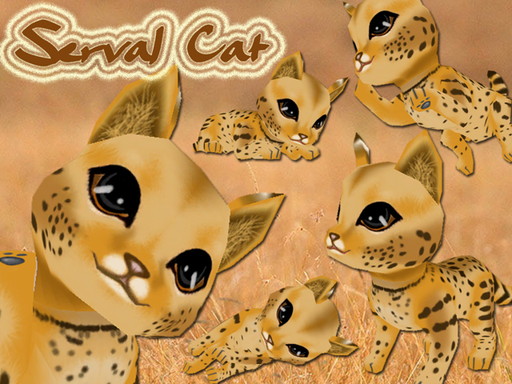 ꡼ No.003 | Х륭åȤ伪դХMILUפо졣륢ɥ