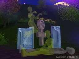 ꡼ No.009 | MILUפǥޡۥ顼٥Ȥ롣ݥ륿åȤо