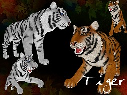 ꡼ No.003 | MILUס2017ե٥ȡɤ1ܤ