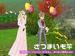 ꡼ No.010Υͥ / MILUס2017 ե٥ȡɤ2ܤ򳫺