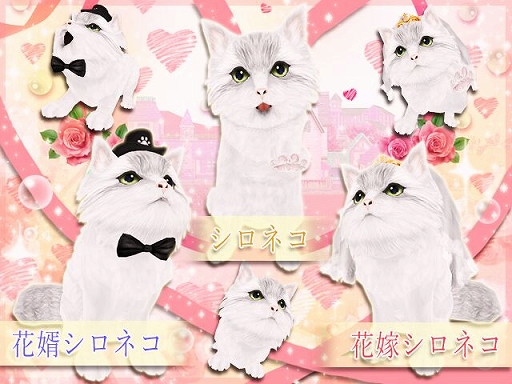 ꡼ No.004 | MILUס2018֥饤륤٥Ȥ1ܤ