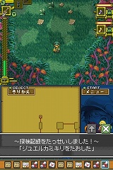 ꡼ No.038 | ֥ǥƥˡ󥯥סβ¤ʤɤοǤץ⡼ࡼӡ⤢