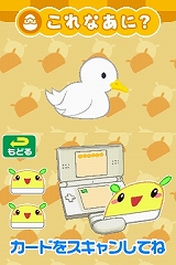 カードであそぶ!はじめてのDS