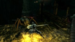 ꡼ No.004Υͥ / Demon's SoulsפΥ˥ȡȬϡΥȥꥢ-2פĩ