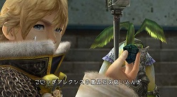 ꡼ No.005 | FFCC ꥹ٥顼ץ˥񳫺šڤ715