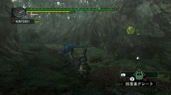 ������#010�Υ���ͥ���/�֥�󥹥����ϥ󥿡�G��5��12����31���Υ��٥�ȥ������ȸ���