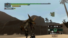 ������#013�Υ���ͥ���/�֥�󥹥����ϥ󥿡�G��5��12����31���Υ��٥�ȥ������ȸ���