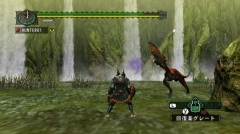 ������#016�Υ���ͥ���/�֥�󥹥����ϥ󥿡�G��5��12����31���Υ��٥�ȥ������ȸ���