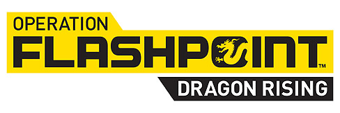 ꡼ No.009Υͥ / ɥޥ2010ǯ114ȯ䤵OPERATION FLASHPOINT: DRAGON RISINGפθȤ˥塼롣о줹ƴΰ