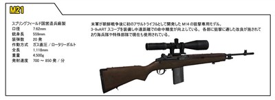 ꡼ No.010 | OPERATION FLASHPOINT: DRAGON RISINGץо줹ʼΰߥåμҲǿPV4GamerUp