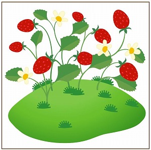 ꡼ No.004Υͥ / Livly Islandߥեƥӡץͥåġץ⥢ƥ̵