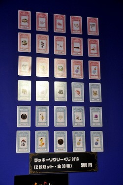 ꡼ No.012 | ޡȥեǤιۤ⡩å桼ʪŸԤƤLivly Island Dr.ߥ顼 ȯɽ2013ץݡ