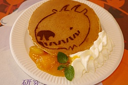 ꡼ No.027 | Livly Island CORפΥե饤󥤥٥ȡDr.ߥ顼ꡡȯɽ2015ۻҤʤinϥפ1025ޤǳ档ǯȯɽ